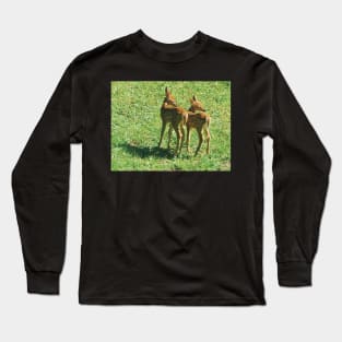 Little Fawn Buddies Long Sleeve T-Shirt